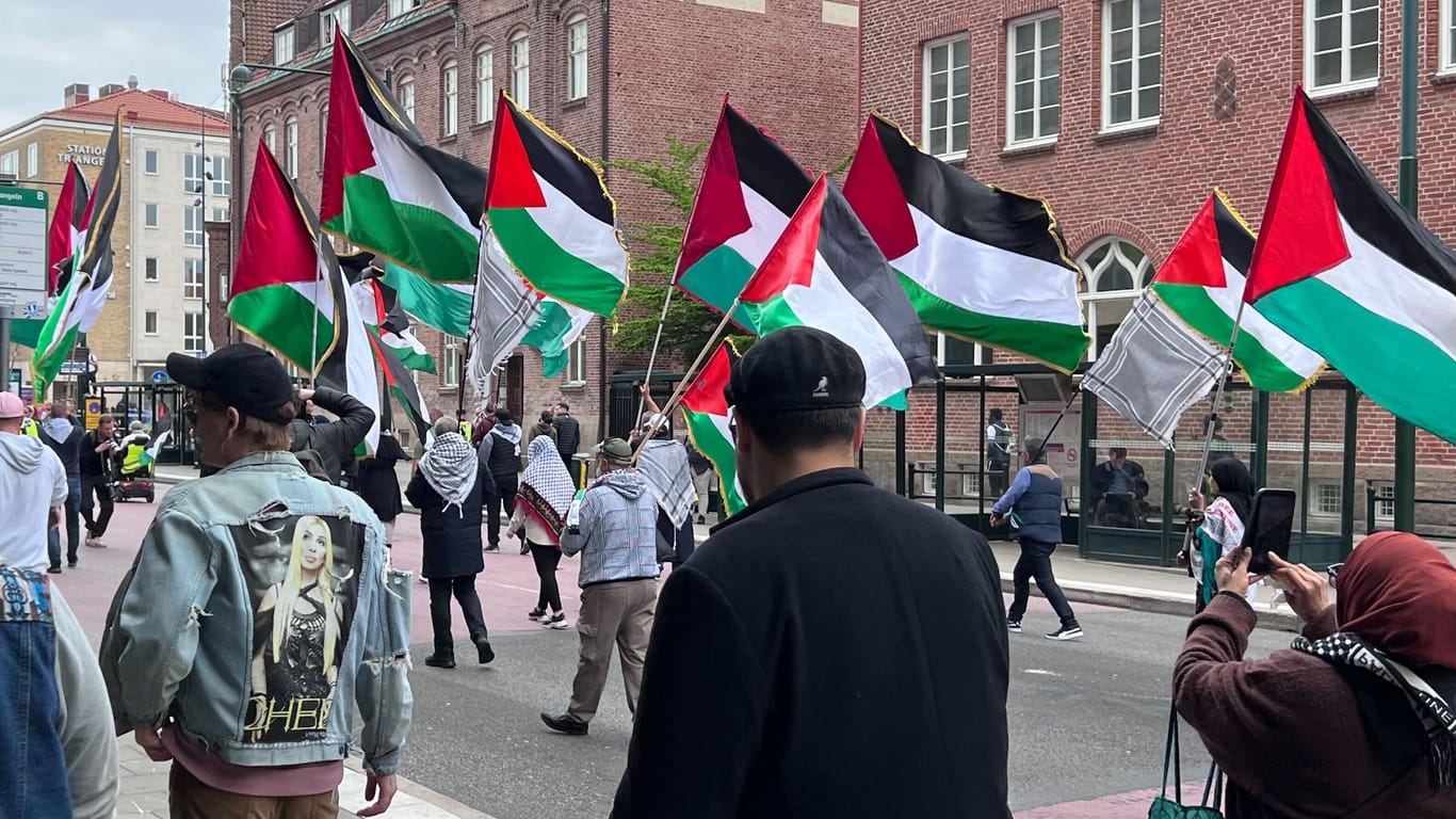 Demonstration in Malmö: Popfans und Demonstrierende mit Palästina-Flaggen laufen gemeinsam.