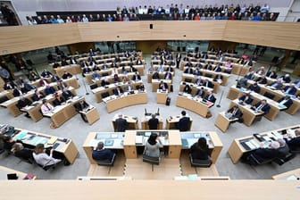 AfD größter Störenfried im Landtag