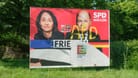 Ein beschädigtes und beschmiertes Wahlplakat der SPD in Köln: Bei einer Umfrage zur Europawahl verliert die SPD.