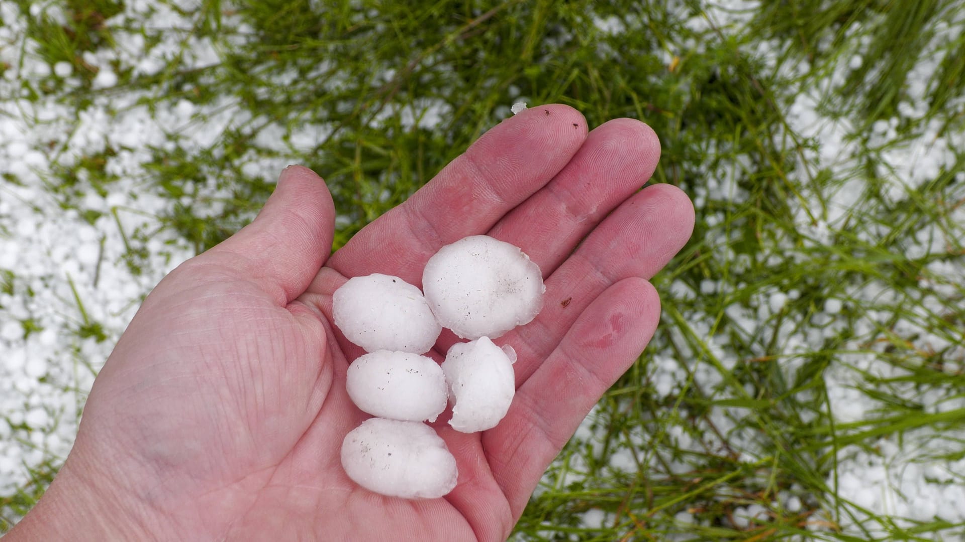 Schwere Unwetter mit jeder Menge Hagel ziehen seit den Abendstunden durch Südbayern. Eine Superzelle zog von Füssen quer nach Garmisch-Partenkirchen. Im Gepäck kein Schnee, sondern regelrechte Hagelmassen. Besonders heftig traf es die Ortschaft Ried am Forggensee.