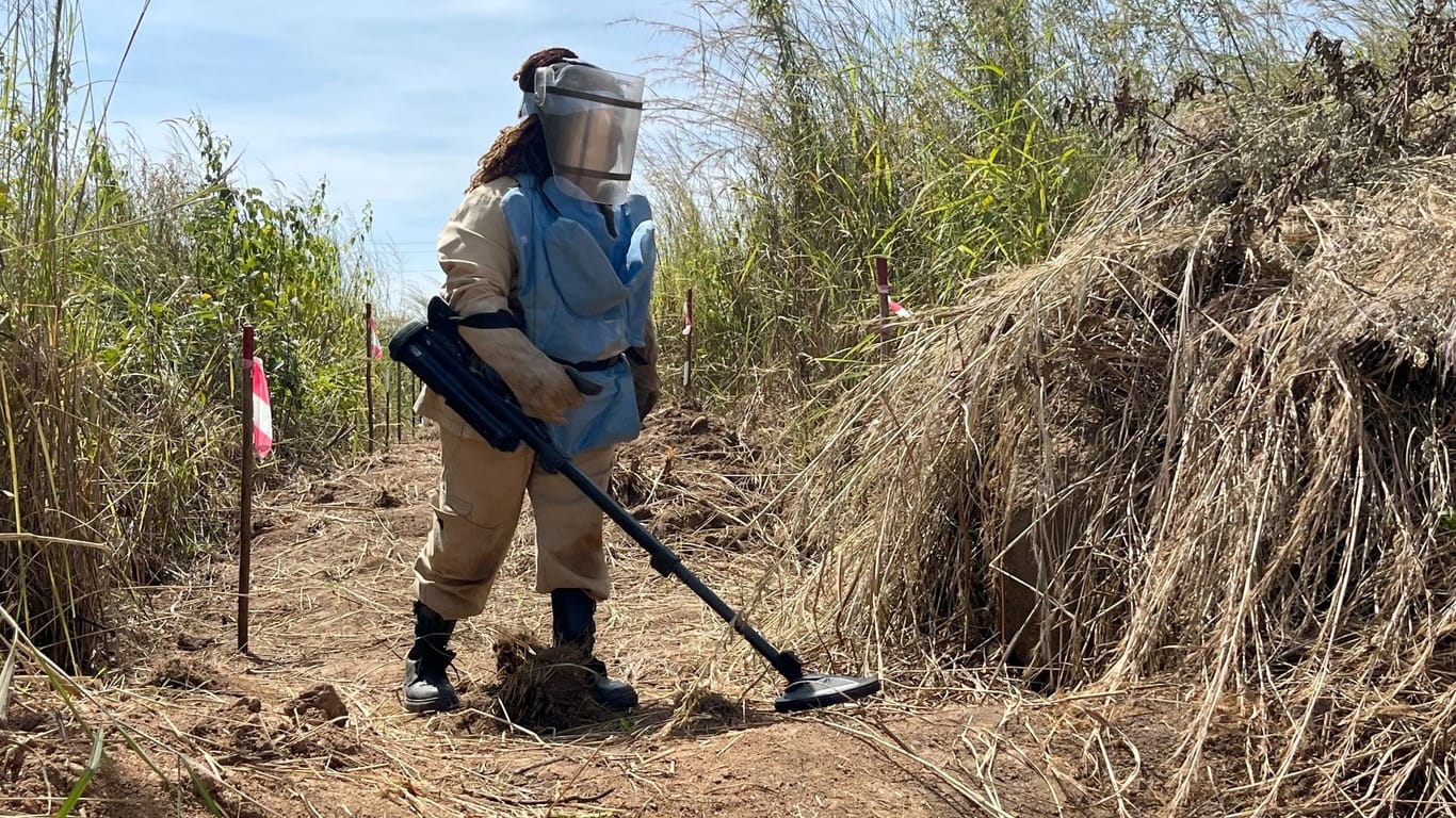 Riesenhamsterratten erschnüffeln Landminen in Angola