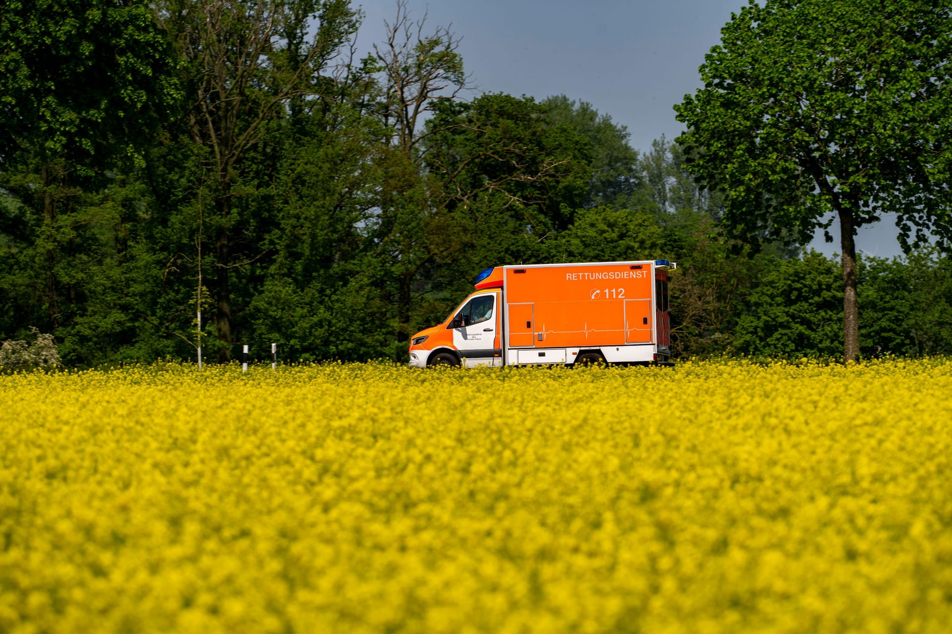 Ein Rettungswagen auf einer Landstraße (Symbolbild): Im Landkreis Kassel starben am Donnerstagabend zwei Menschen bei einem Unfall.