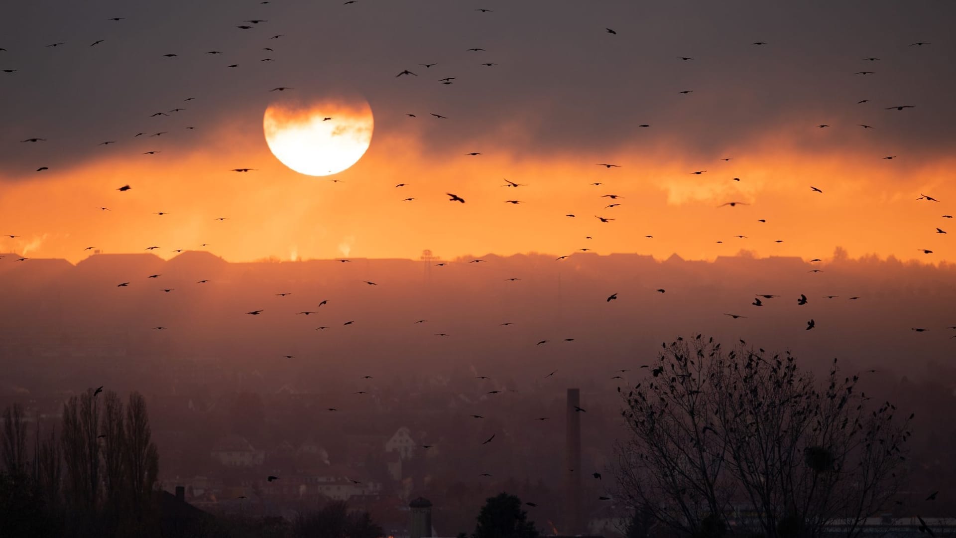 Sonnenuntergang