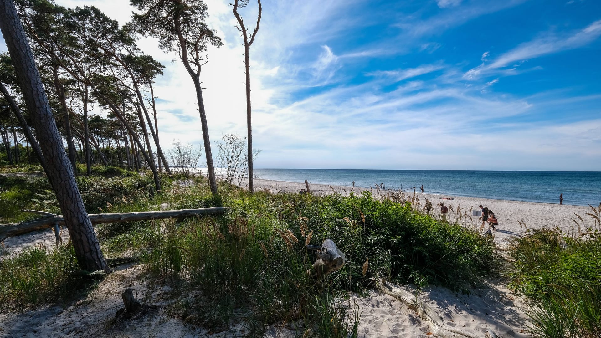 Ostsee bei Ahrenshoop (Fischland-Darß): Am Boden des Meeres schlummert gefährliches Gift.