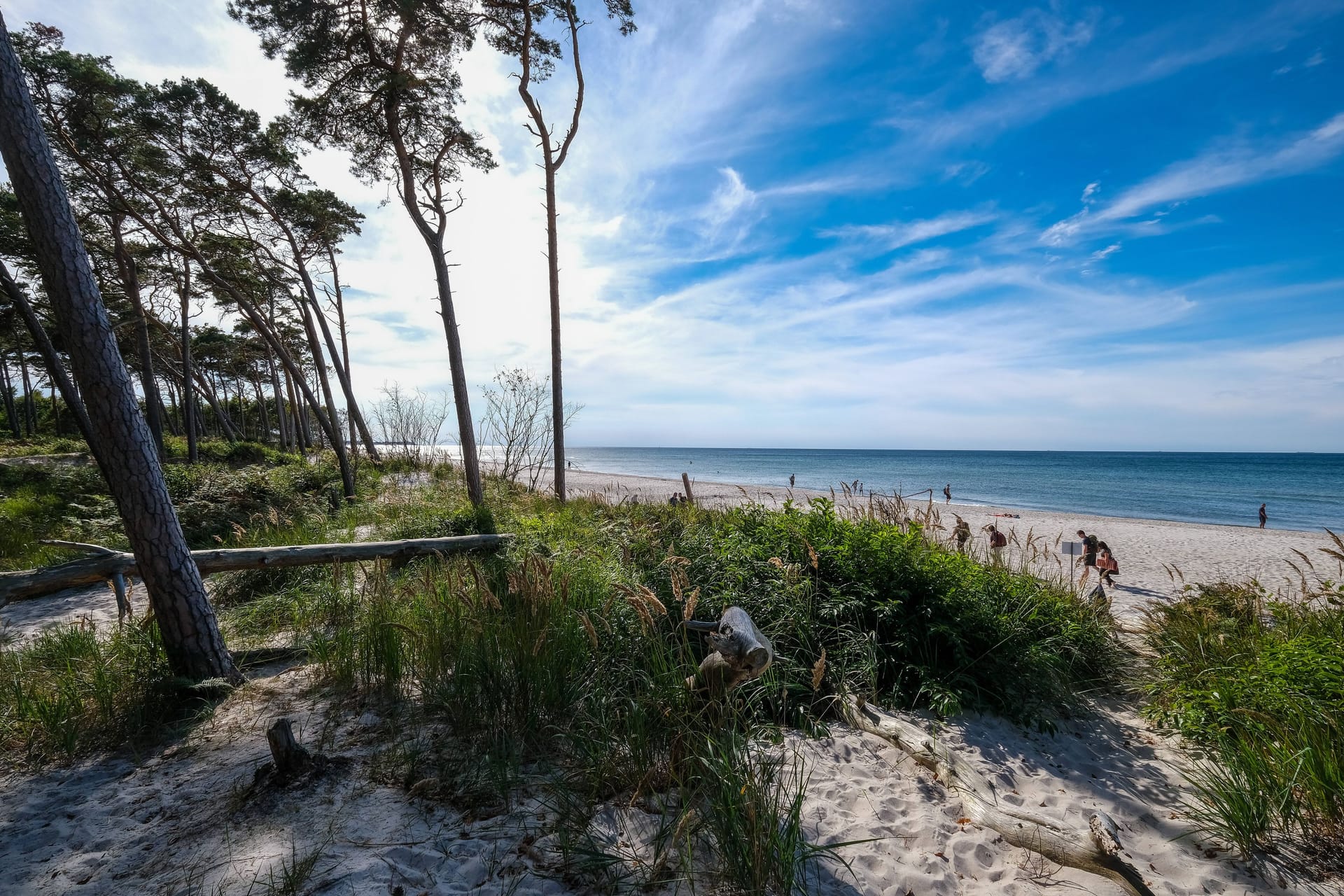 Ostsee bei Ahrenshoop (Fischland-Darß): Am Boden des Meeres schlummert gefährliches Gift.