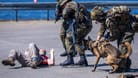Soldaten nehmen bei einer Übung im Seehafen einen angenommenen Angreifer fest: Reservisten proben Ernstfall bei Nato-Übung.