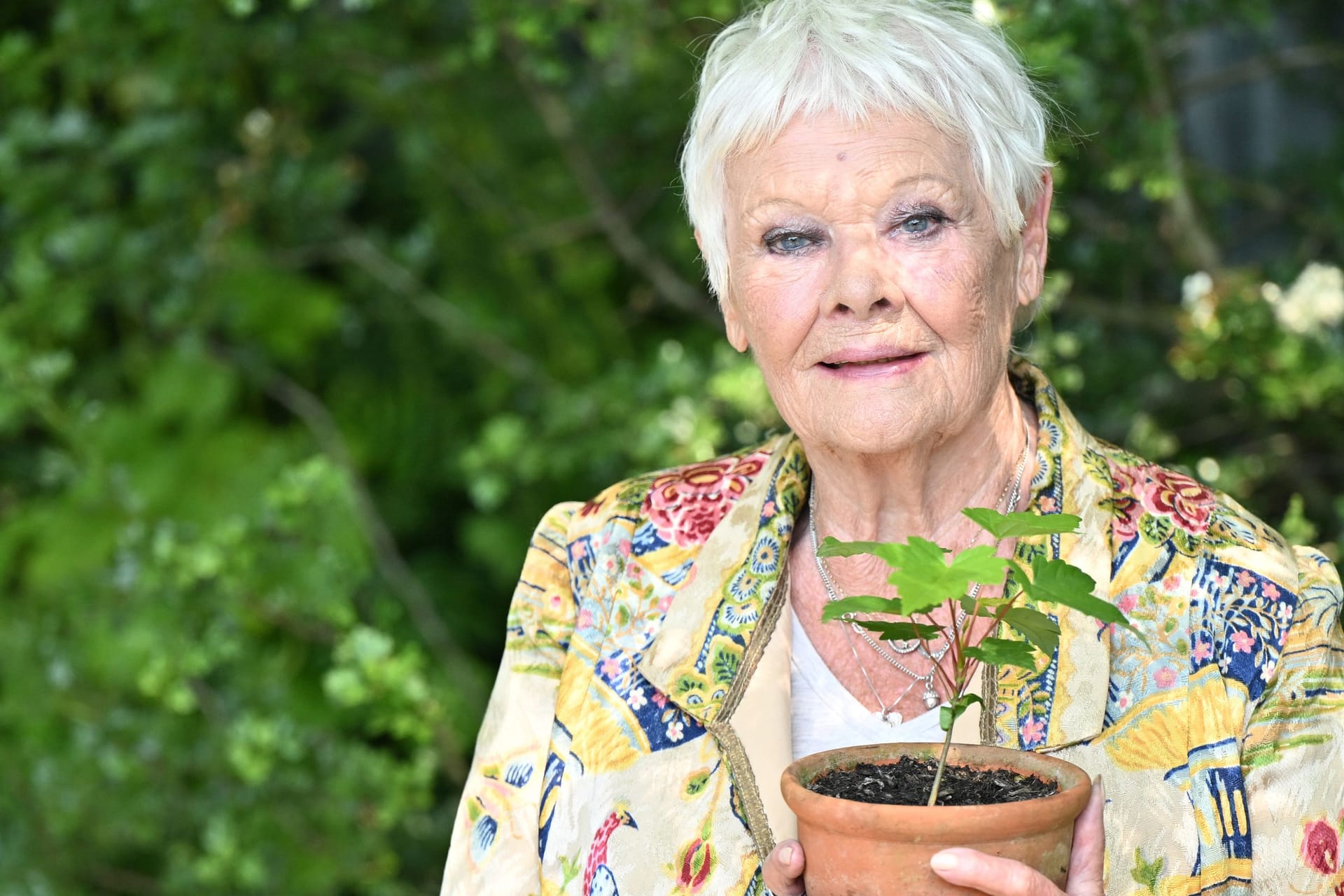 Judi Dench: Im Dezember wird die Schauspielerin 90 Jahre alt.