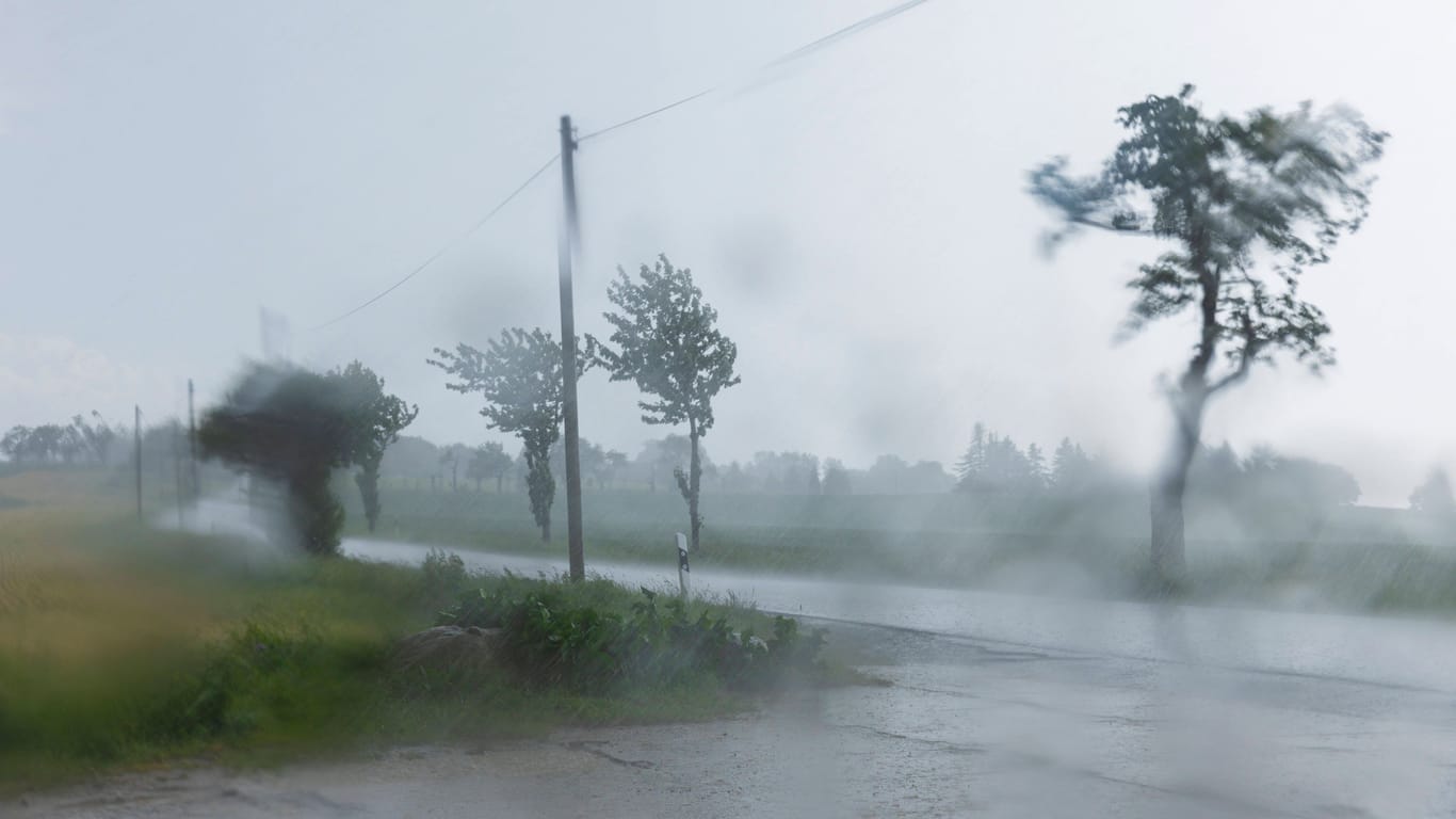 Unwetter am Triebenberg bei Dresden