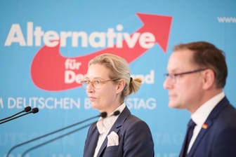 AfD-Politiker Alice Weidel und Tino Chrupalla: Der Rechtspopulismus kann eingedämmt werden, sagt Heinrich August Winkler.