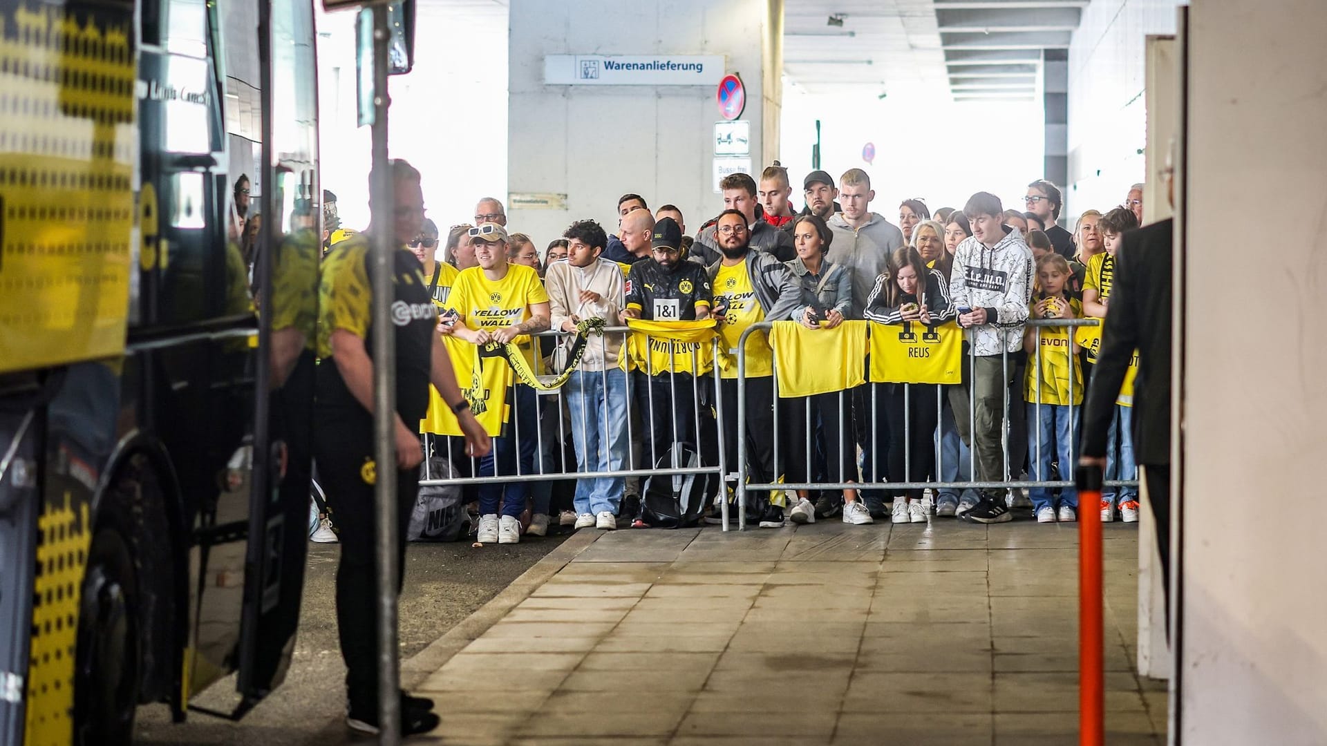 BVB-Fans