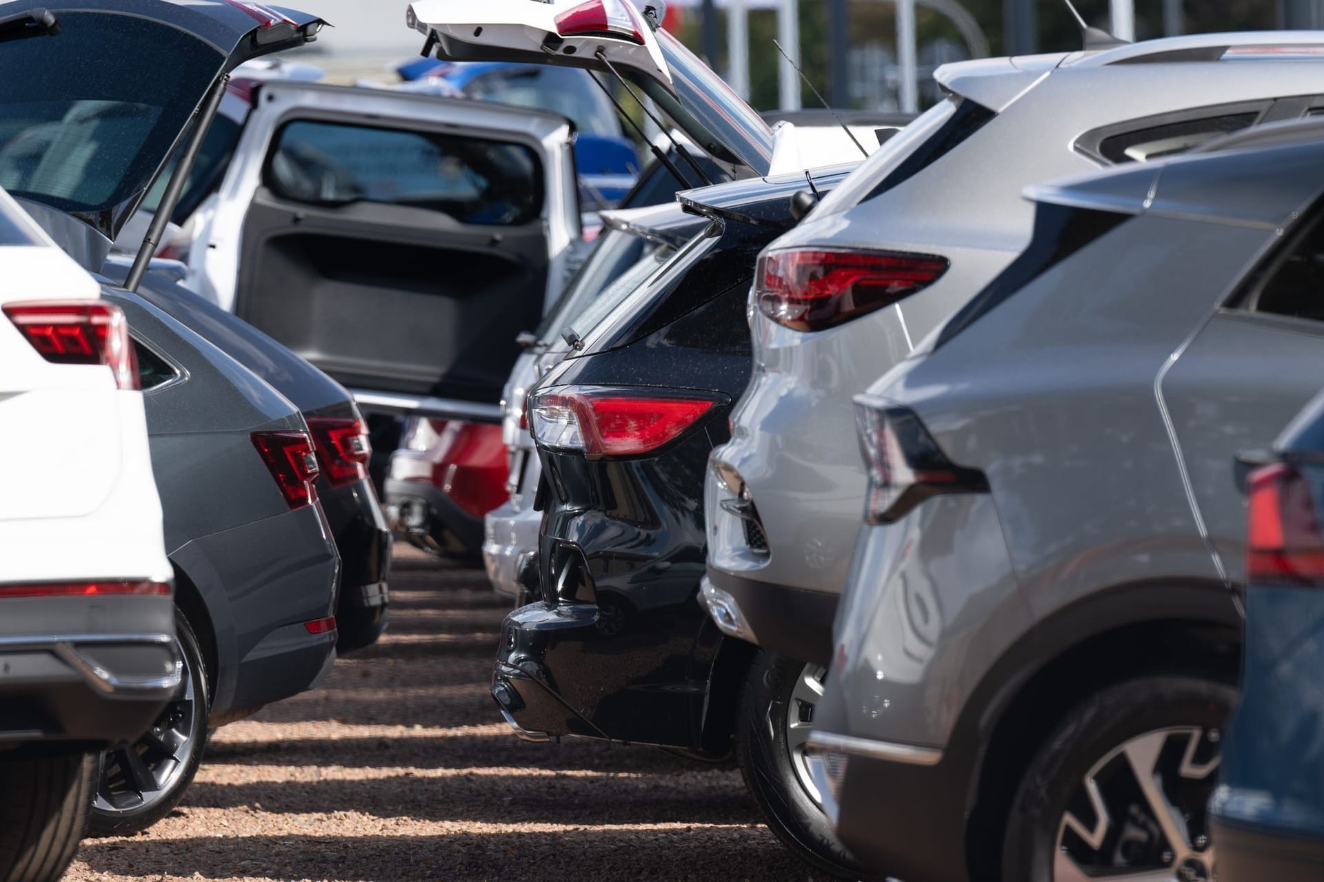 Autos auf dem Hof eines Händlers (Symbolbild): Die EU erwägt Strafzölle gegen E-Wagen aus China.