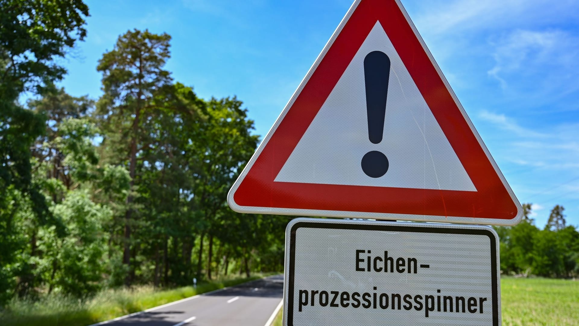 Warnung vor Eichenprozessionsspinner