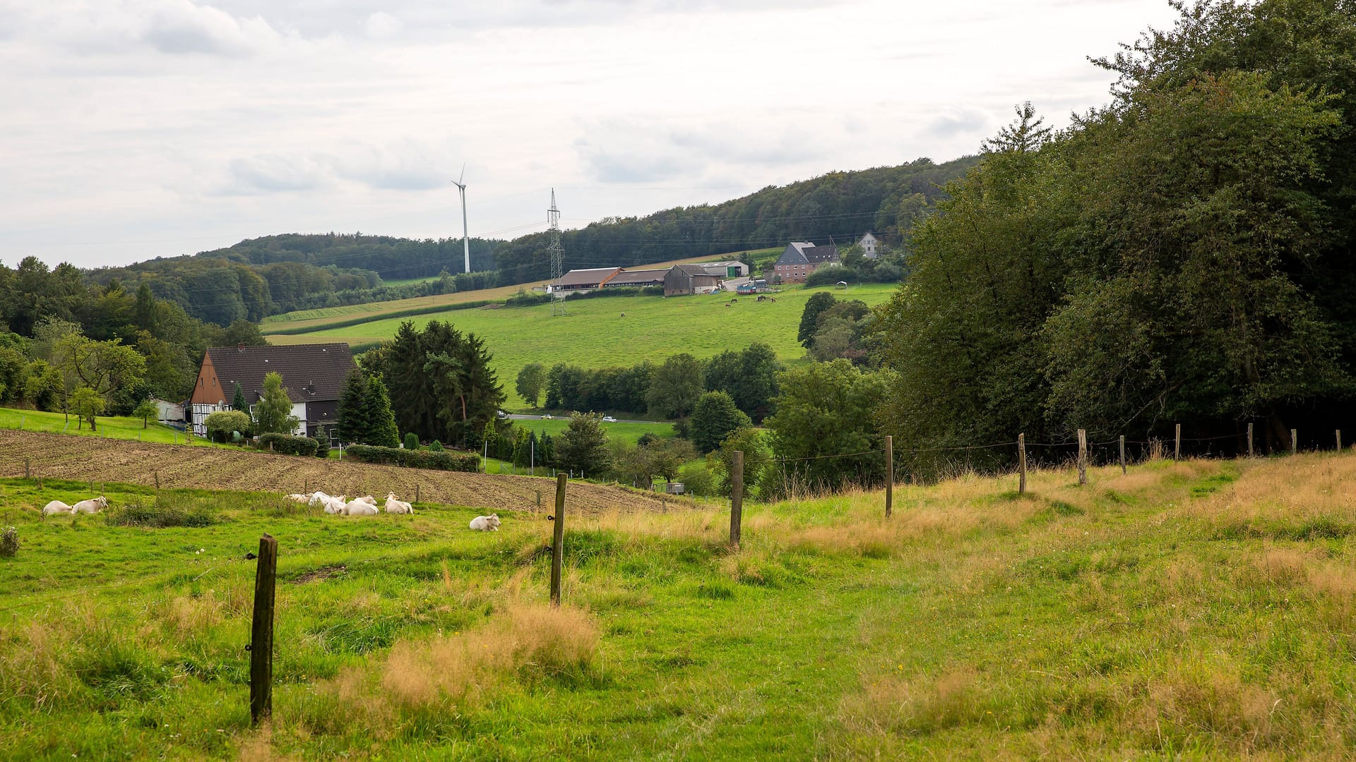 Hattingen