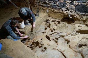 Forscher des Österreichisches Archäologisches Institut im Weinkeller: War er eine Mammut-Falle?