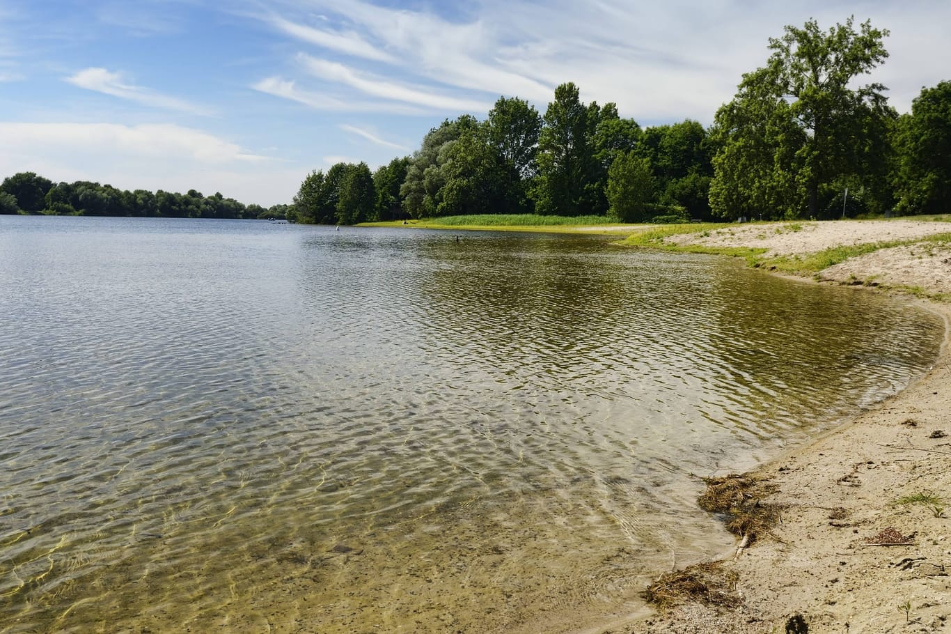 Der Eichbaumsee in Allermöhe (Archivbild): Hier ließe es sich gut baden, wären da nicht die störenden Blaualgen.