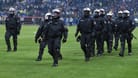 Polizisten stehen nach einem HSV-Spiel auf dem Rasen (Archivbild): Das Volksparkstadion wird ein zentraler Einsatzort während der EM.