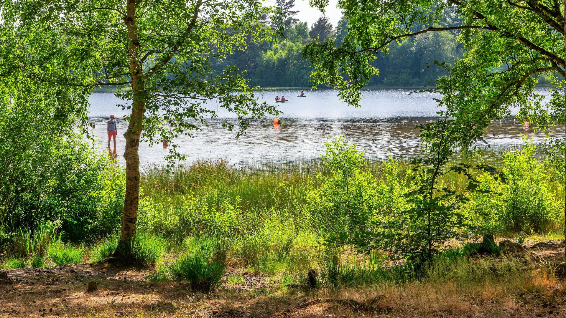 Der Große Bullensee bei Rotenburg (Wümme): Die Qualität der Badeseen in Niedersachsen gilt vor dem Saisonstart als sehr gut.