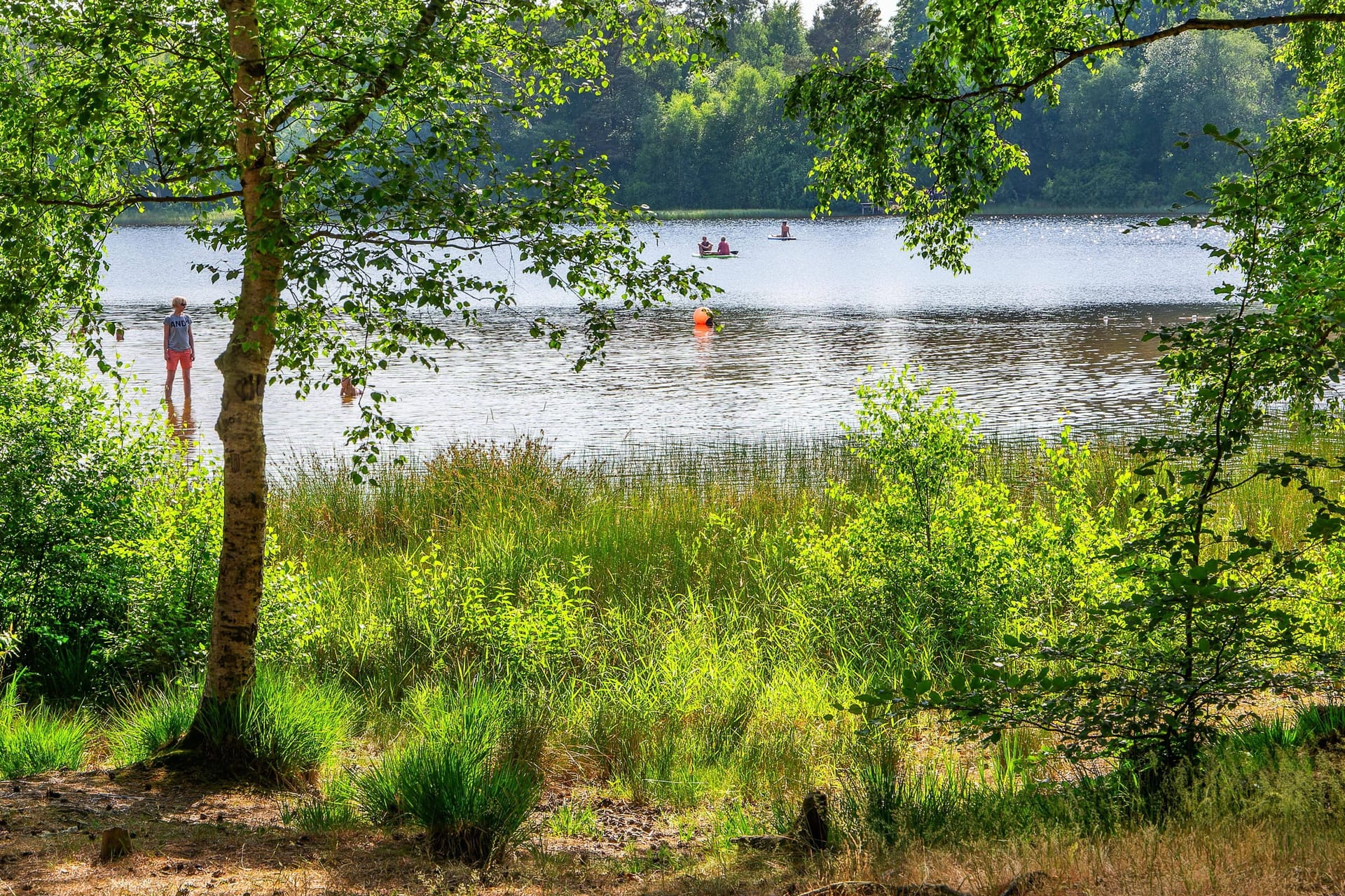 Der Große Bullensee bei Rotenburg (Wümme): Die Qualität der Badeseen in Niedersachsen gilt vor dem Saisonstart als sehr gut.