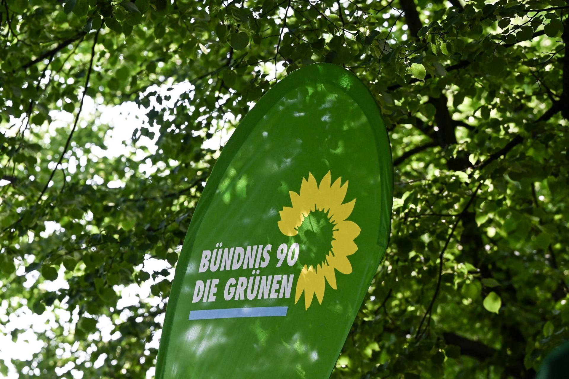 Logo von Bündnis90/Die Grünen