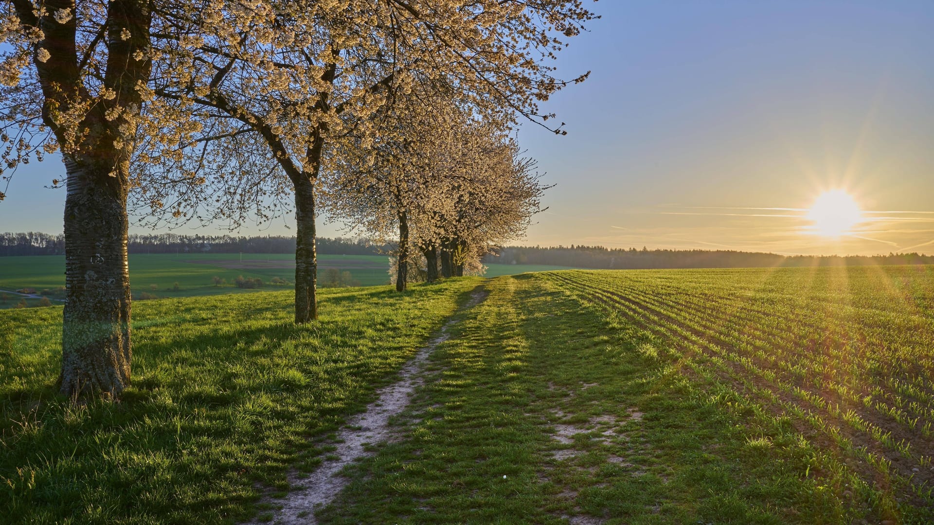 Nicht jeder hat morgens so einen Ausblick. Aber einen kurzen Moment der Ruhe kann sich fast jeder nehmen.