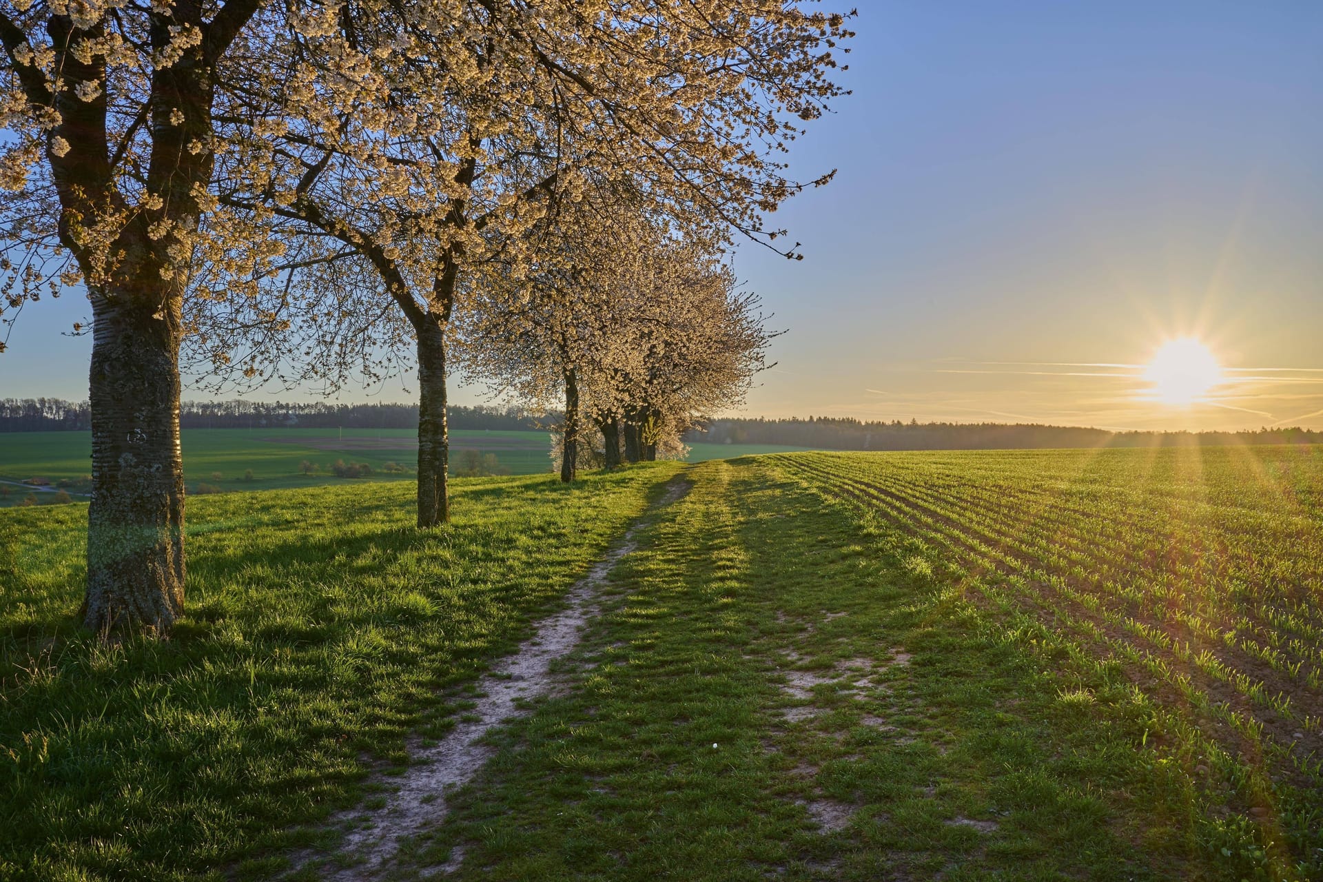 Nicht jeder hat morgens so einen Ausblick. Aber einen kurzen Moment der Ruhe kann sich fast jeder nehmen.