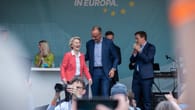 CDU-Wahlkampf zur Europawahl: Was der Partei von Friedrich Merz fehlt