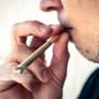 Cannabis: Medizinische Heilpflanze oder Droge? Das sagt ein Experte
