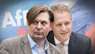 AfD-Skandal: Spitzenkandidaten brachten mutmaßlichen Spion des Kremls in Bundestag