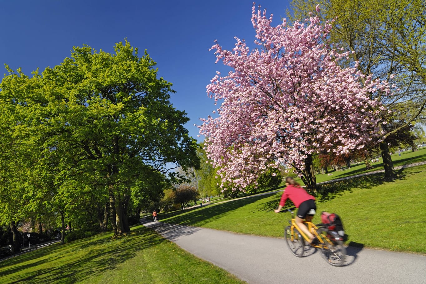 Frühlingsblüte an der Außenalster (Archivfoto): In der neuen Woche wird es wieder grau in der Hansestadt.