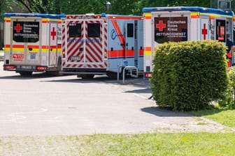 Der Rettungsdienst im Einsatz an der Hauptschule Tostedt: Mehrere Schüler wurden durch Reizgas verletzt.