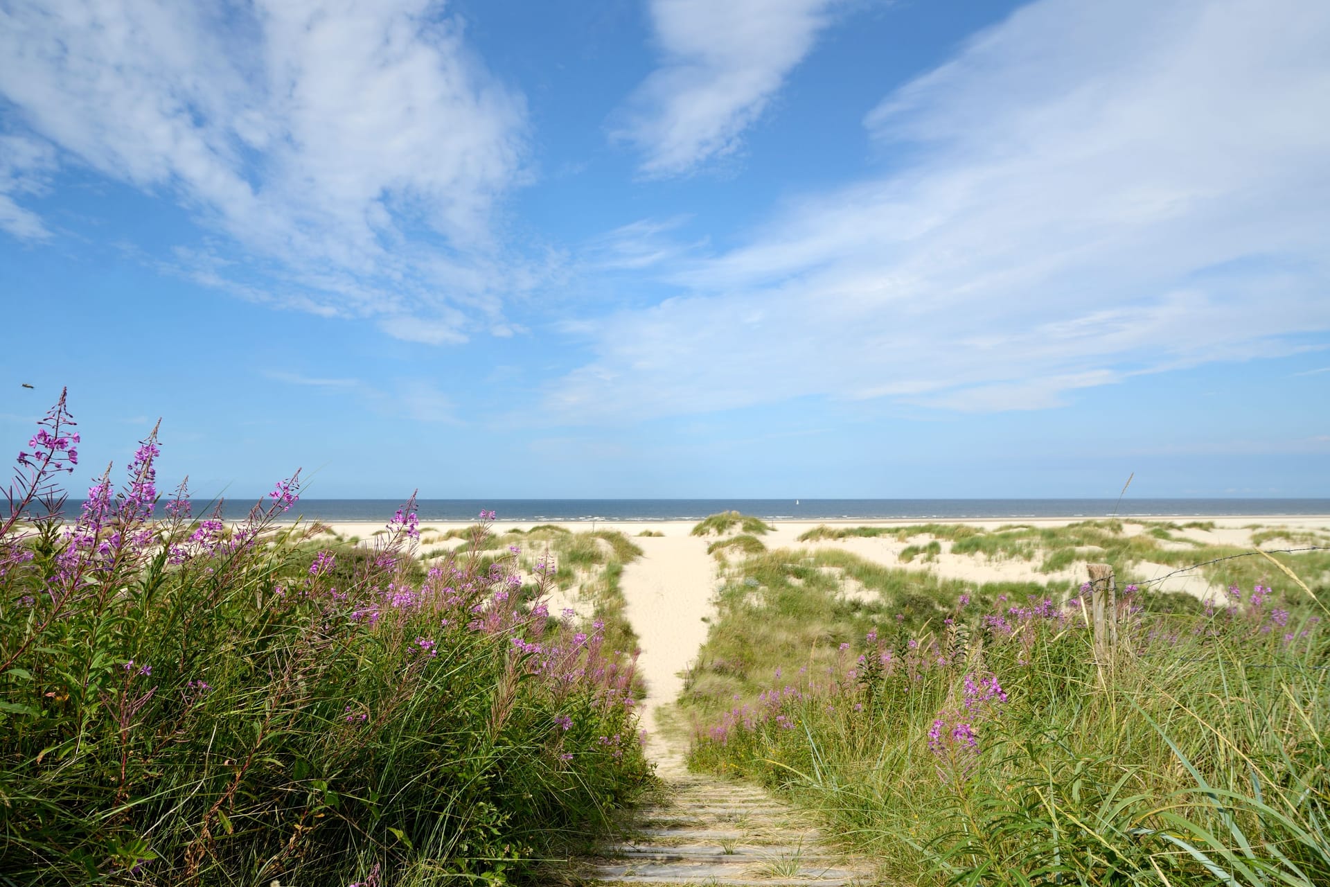 Strand von Wangerooge (Archivbild): Hier geschah das Unglück beim Buddeln im Sand.