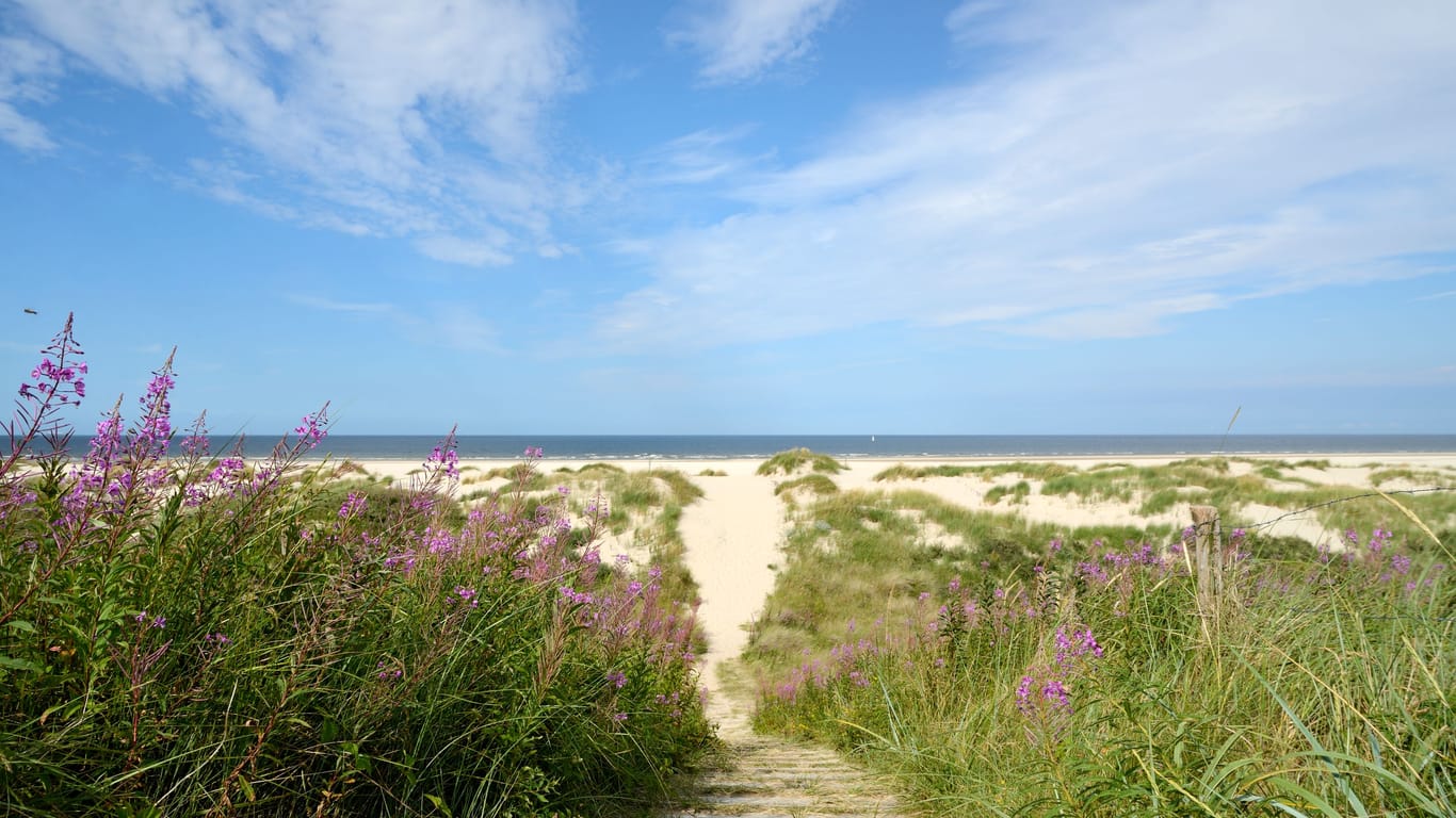 Strand von Wangerooge (Archivbild): Hier geschah das Unglück beim Buddeln im Sand.