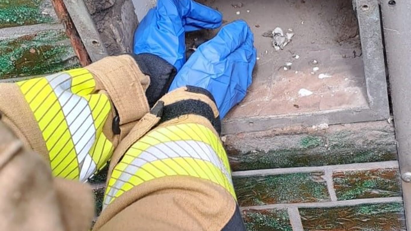 Die Feuerwehr Gelsenkirchen rettete ein Eichhörnchen aus einem Kippfenster.