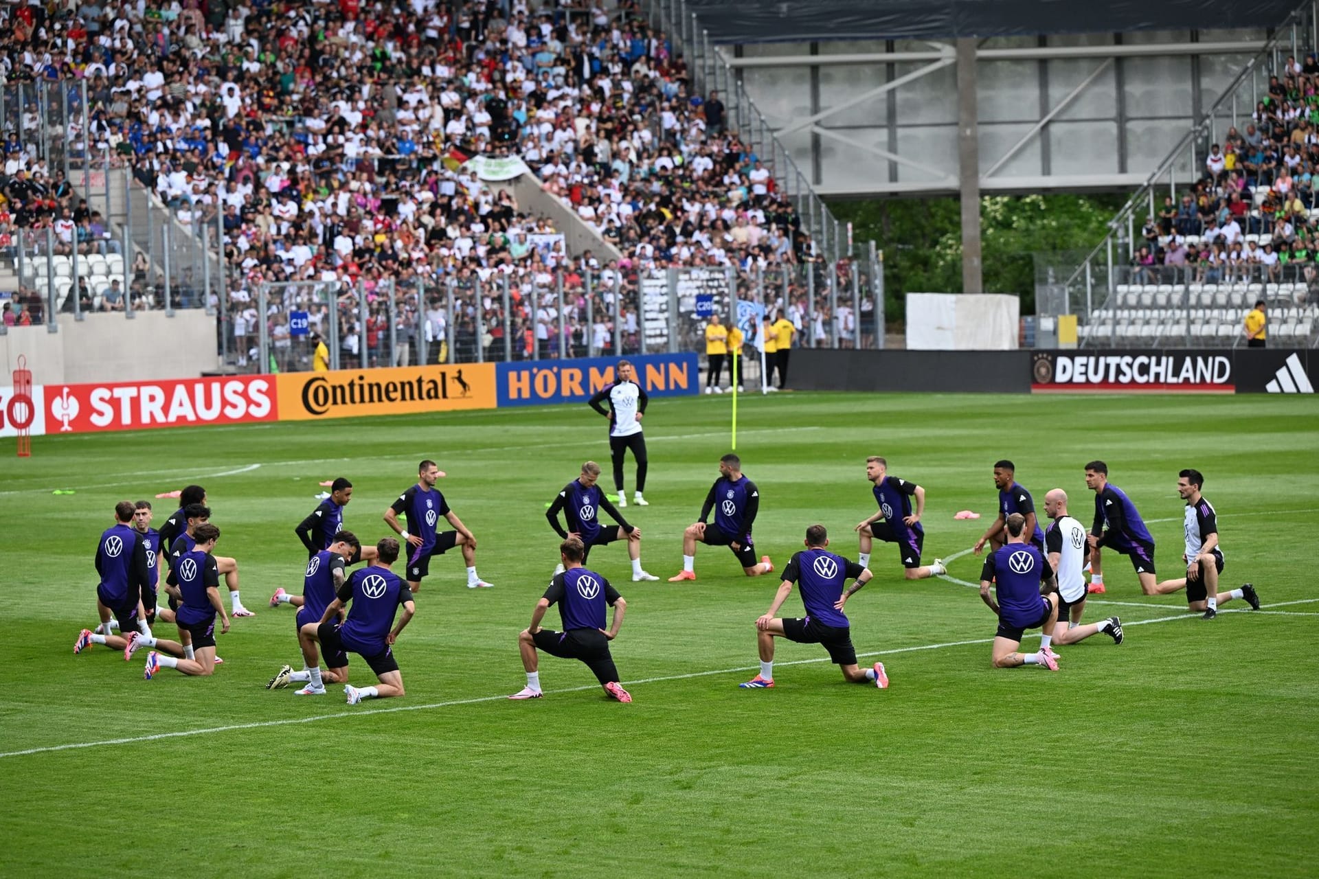 DFB-Training