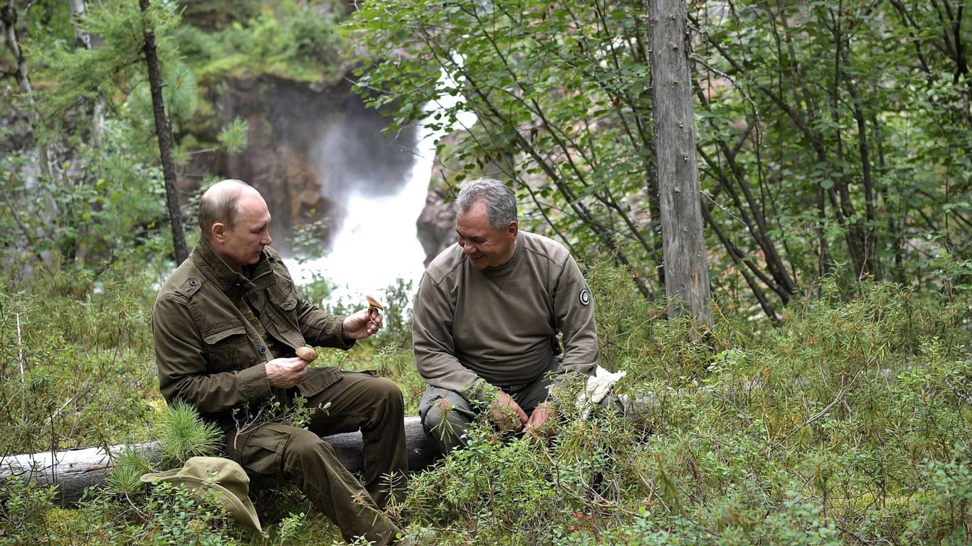 Putin zeigt Schoigu Pilze im Wald: Viele Jahre hielt der Kreml-Chef an seinem Verteidigungsminister fest.