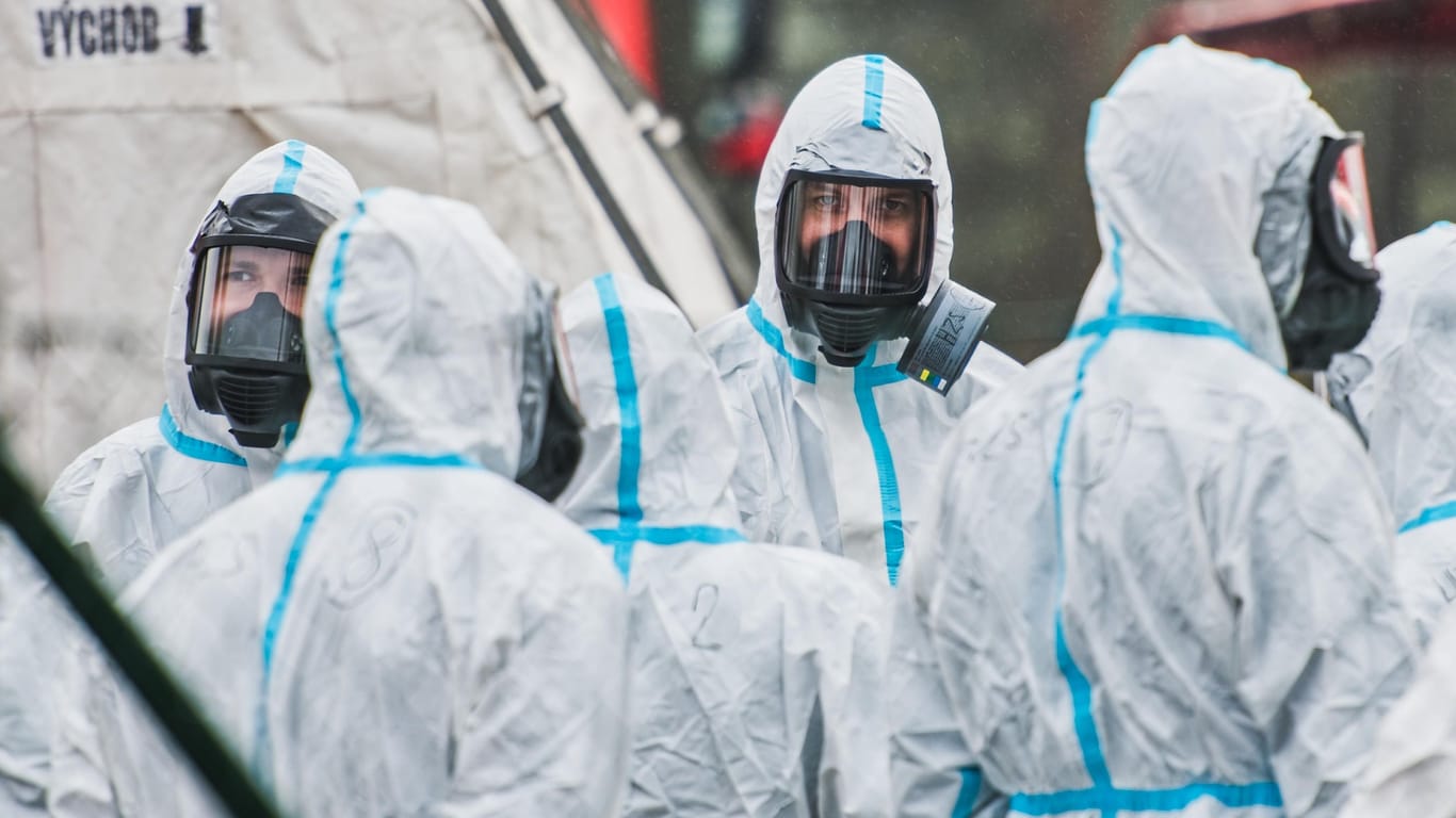 Vogelgrippe-Ausbruch: Wie hier in Tschechien hat sich das Virus weltweit verbreitet.