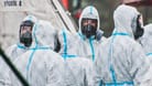 Vogelgrippe-Ausbruch: Wie hier in Tschechien hat sich das Virus weltweit verbreitet.
