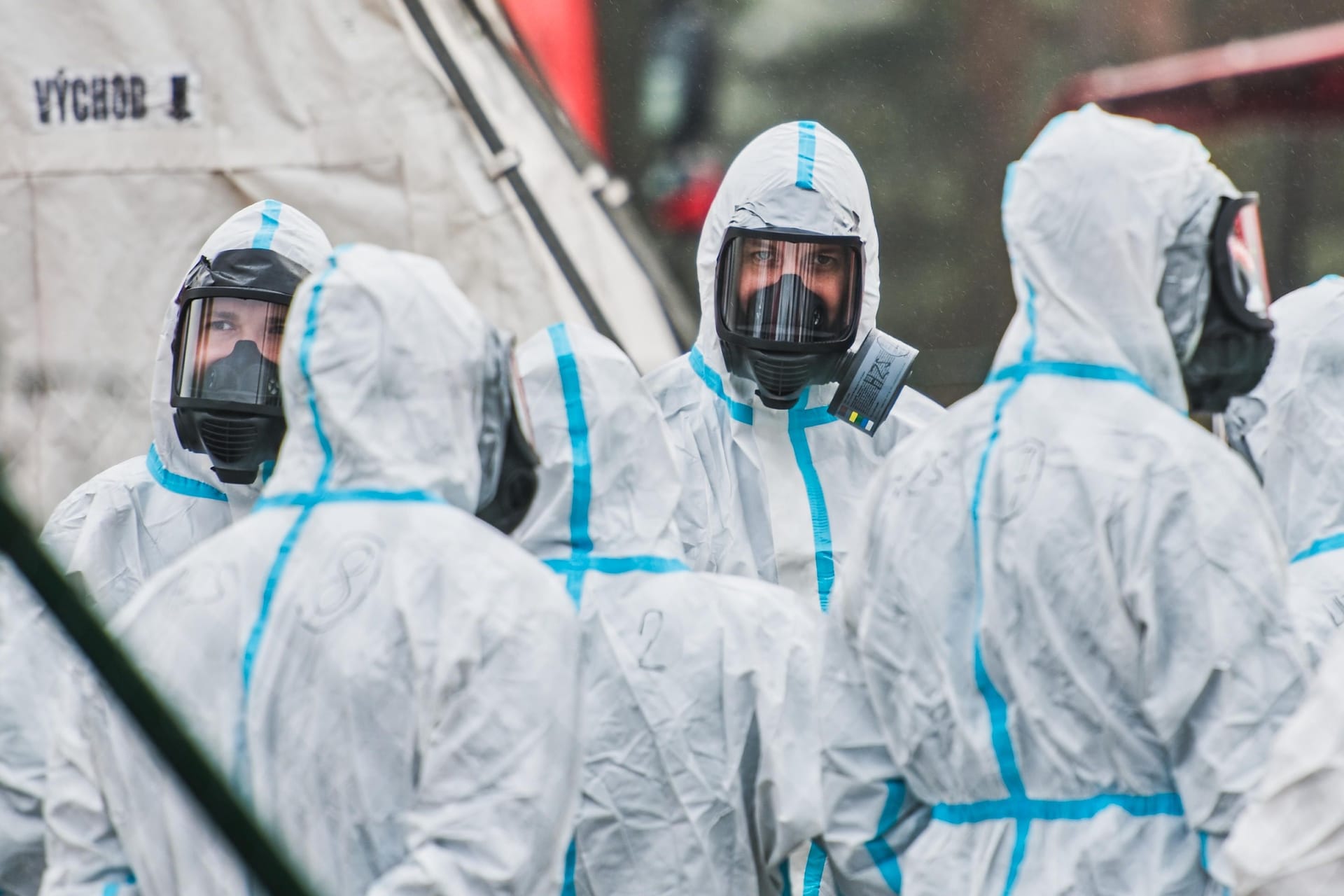 Vogelgrippe-Ausbruch: Wie hier in Tschechien hat sich das Virus weltweit verbreitet.