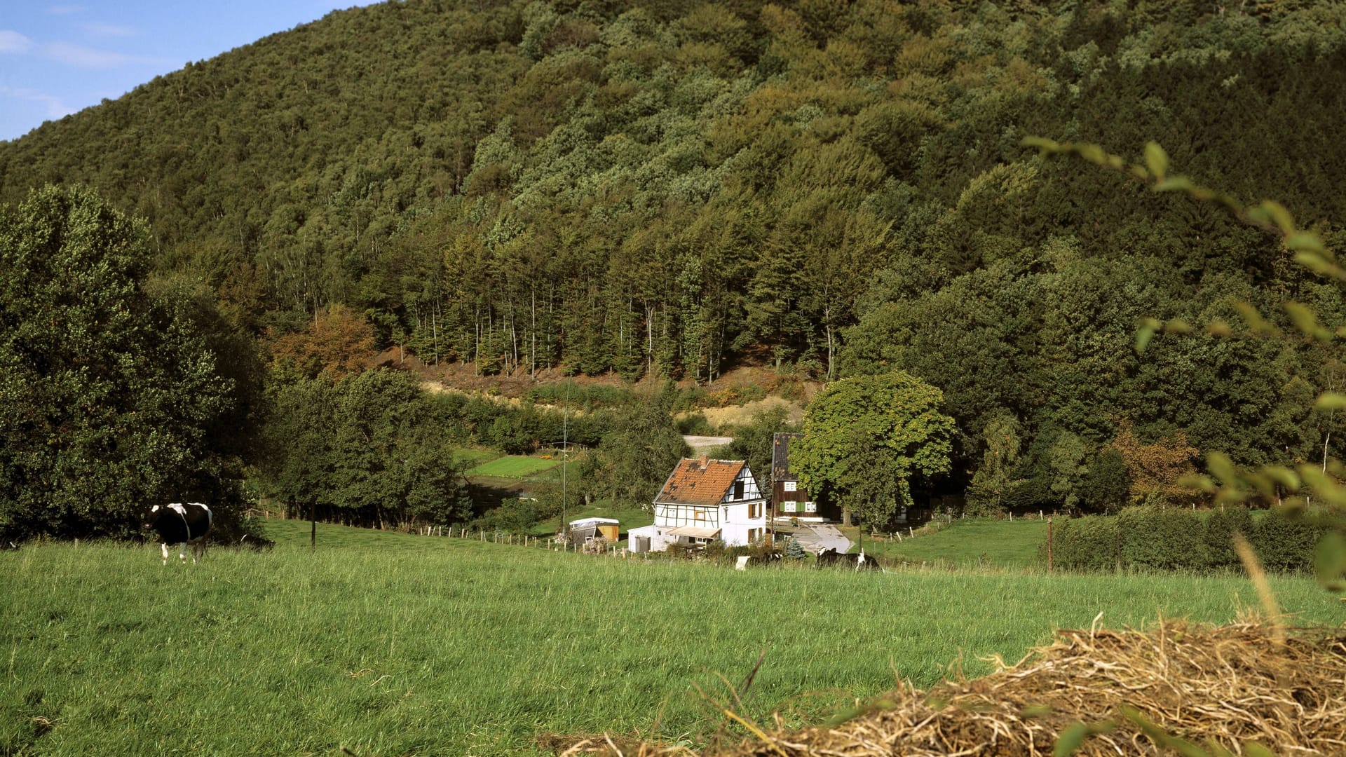 Zwischen Ruhrgebiet und Bergischem Land bietet sich Besuchern eine alpine Landschaft, die an die Schweiz erinnert.