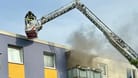 Brand an der Schulte-Hiltrop-Straße in Bochum-Hiltrop: Die Katzen konnten nicht reanimiert werden.