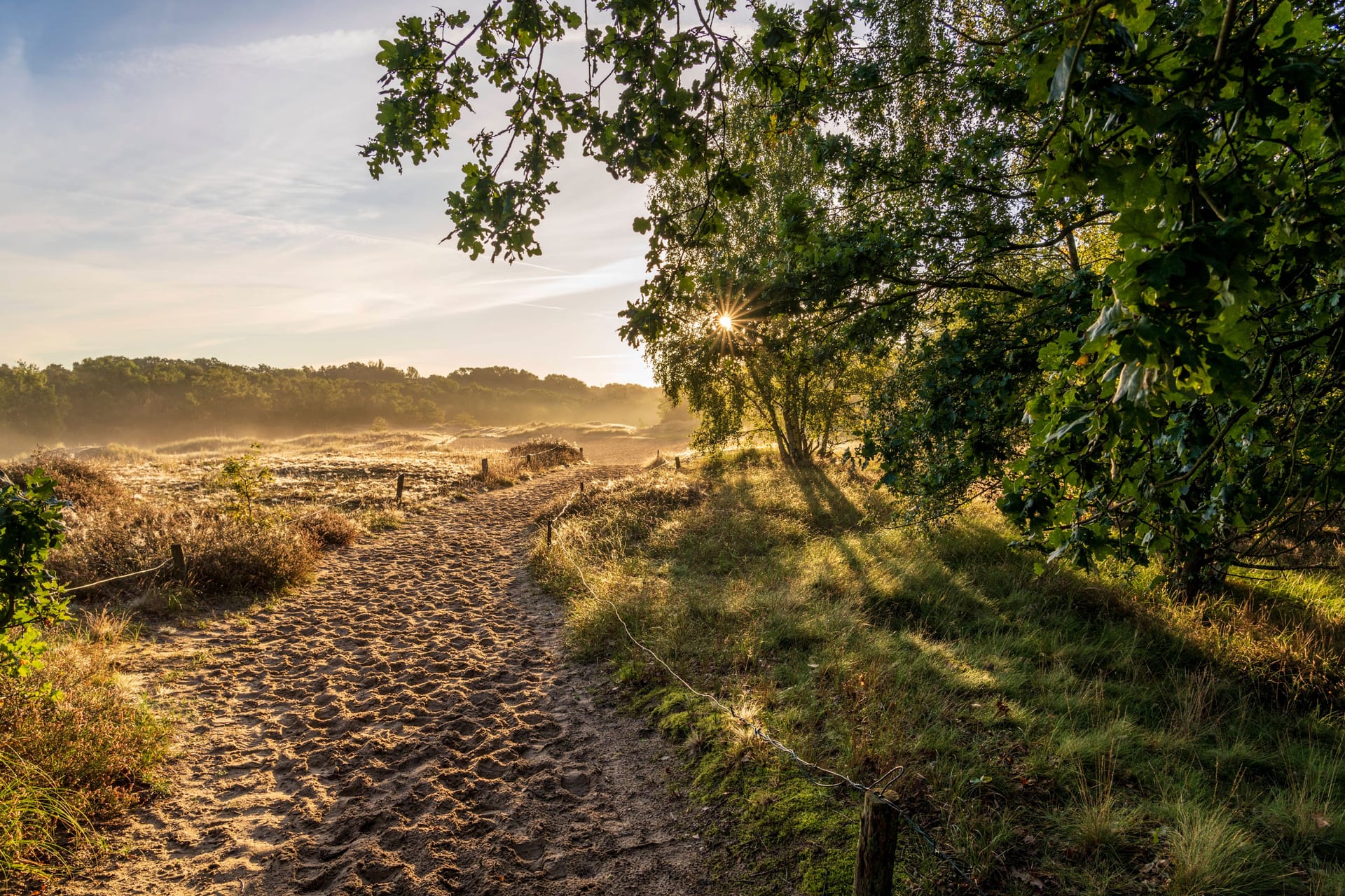 Weißer Sand, wohin das Auge reicht: In den Boberger Dünen kommt echtes Sylt-Feeling auf.