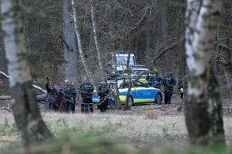 Spurensicherung im Wald