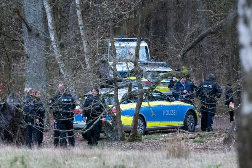 Spurensicherung im Wald