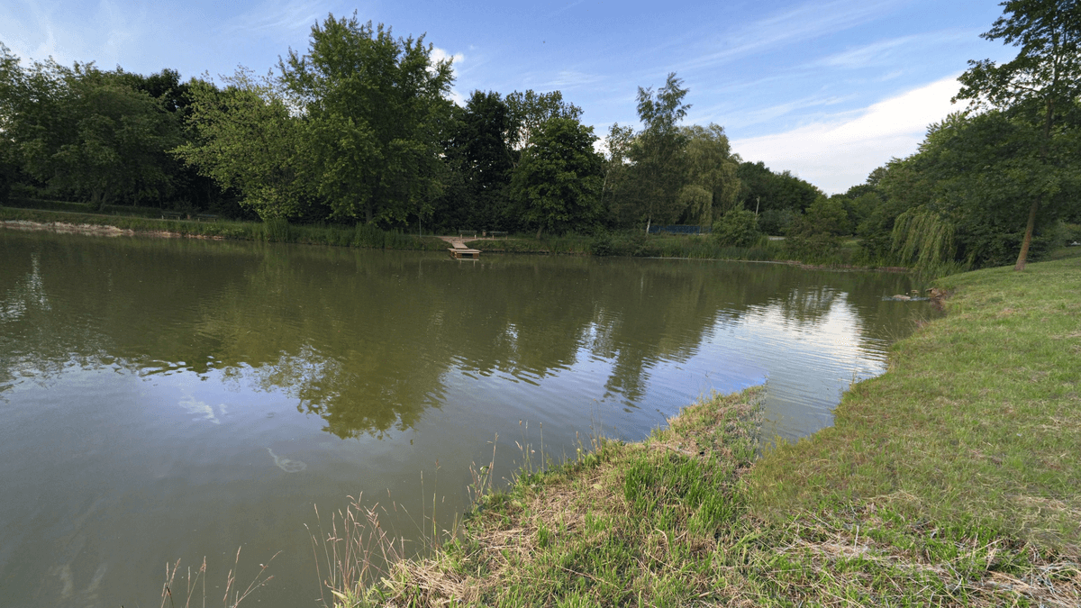 Rostock Vierjähriger vermisst Passanten retten ihn aus Teich