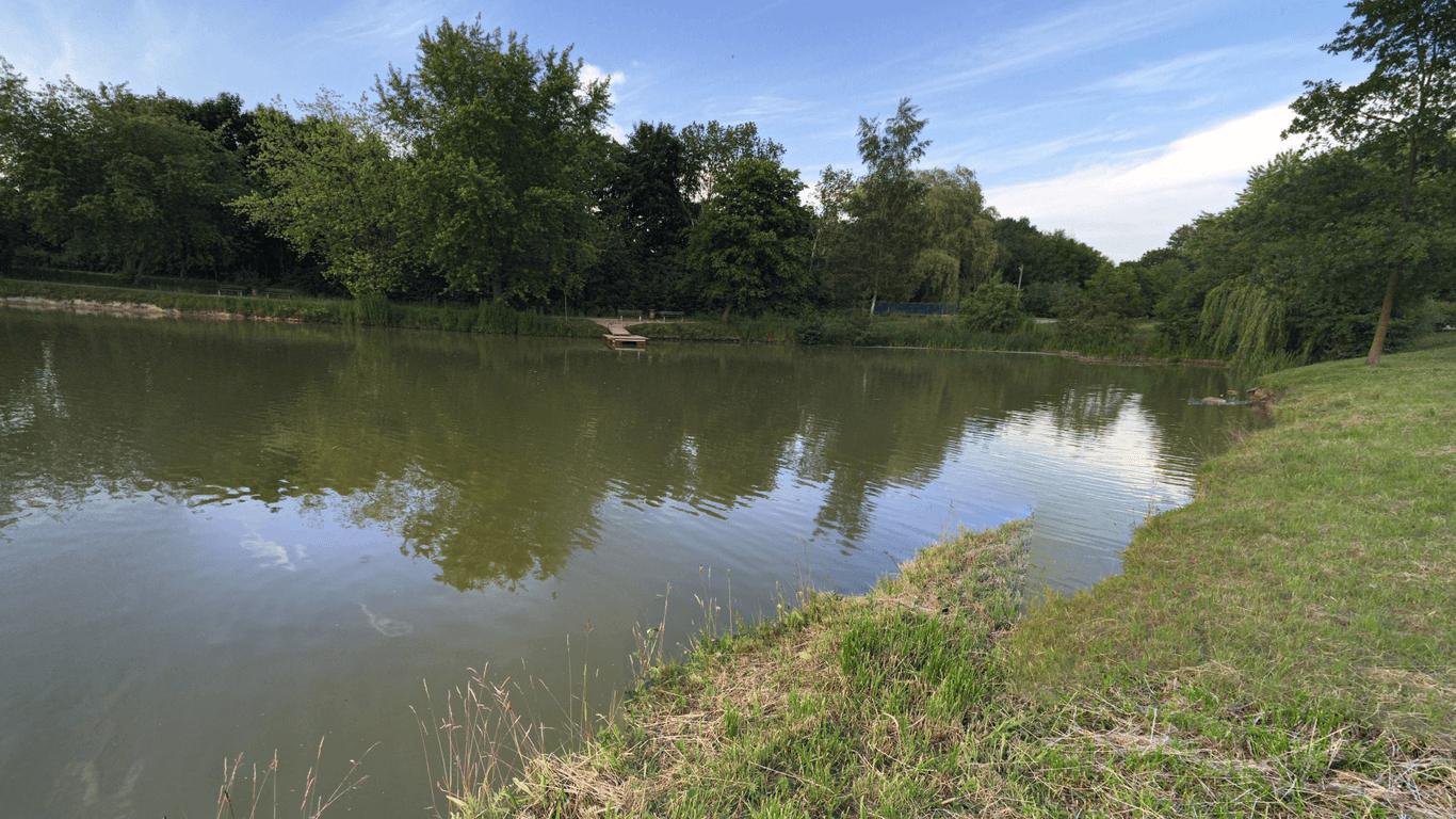 Der Teich im Park am Fischerdorf in Rostock: Hier retteten Passanten den Vierjährigen.