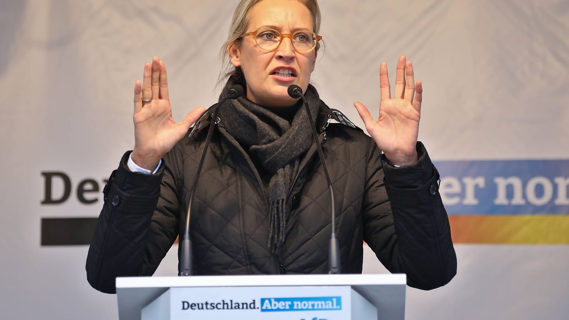 Alice Weidel (AfD) bei einer Rede (Archivbild): Sie wetterte gegen eine vermeintliche Mitteilung von Innenministerin Nancy Faeser.