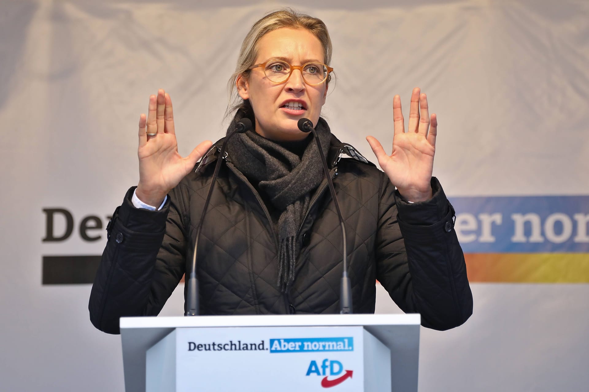 Alice Weidel (AfD) bei einer Rede (Archivbild): Sie wetterte gegen eine vermeintliche Mitteilung von Innenministerin Nancy Faeser.