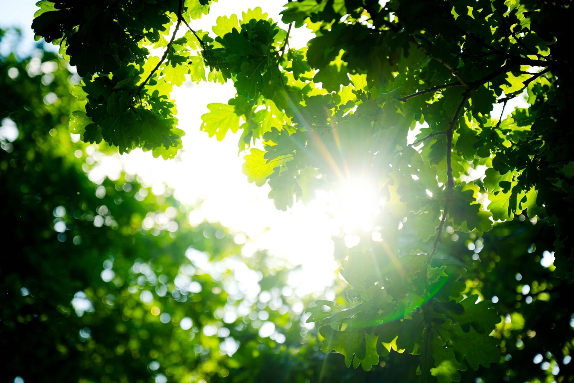 Sonnenschein