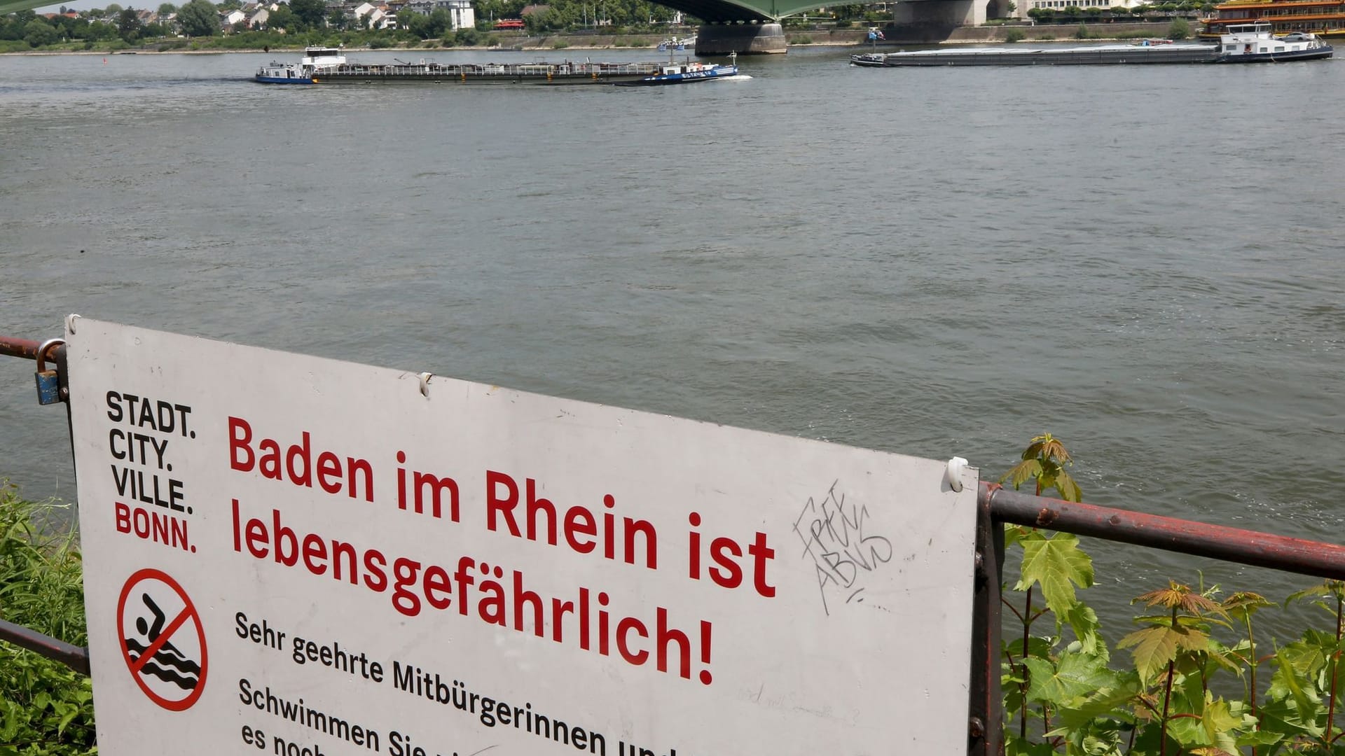 Schilder mit "Baden im Rhein ist lebensgefährlich" Schilder mit "Baden im Rhein ist lebensgefährlich"
