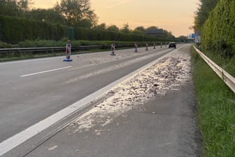 Die Fischabfälle verschmutzten die Autobahn.
